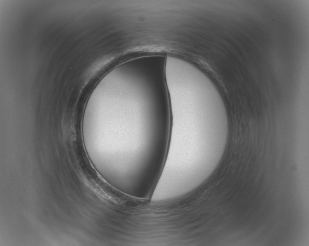 X0000082140536200701191000