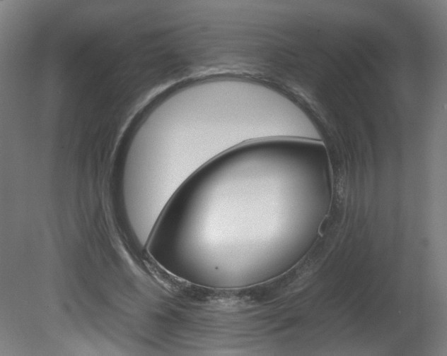 X0000082140540200701191000
