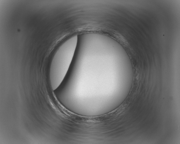 X0000082140542200701191000