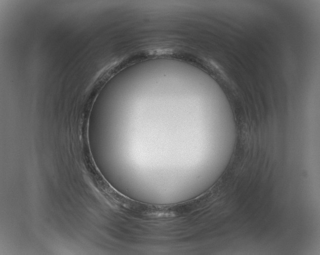 X0000082140543200701191000