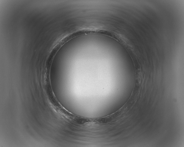 X0000082140544200701191000
