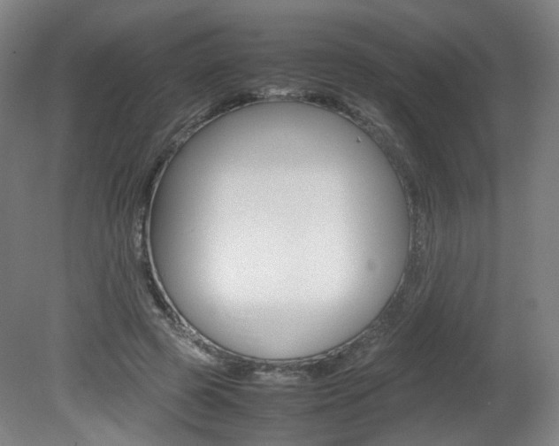 X0000082140545200701191000
