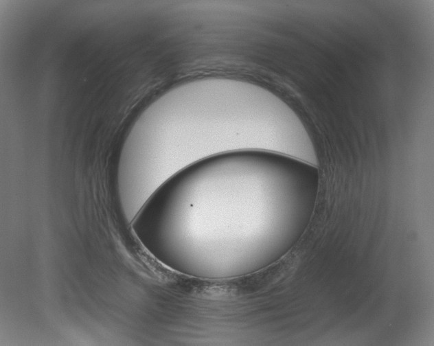 X0000082140546200701191000