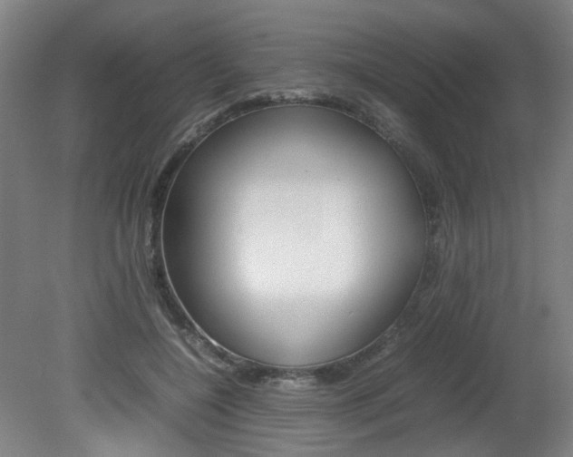 X0000082140548200701191000