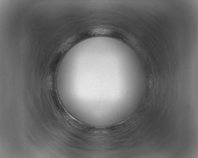 X0000082140551200701191000