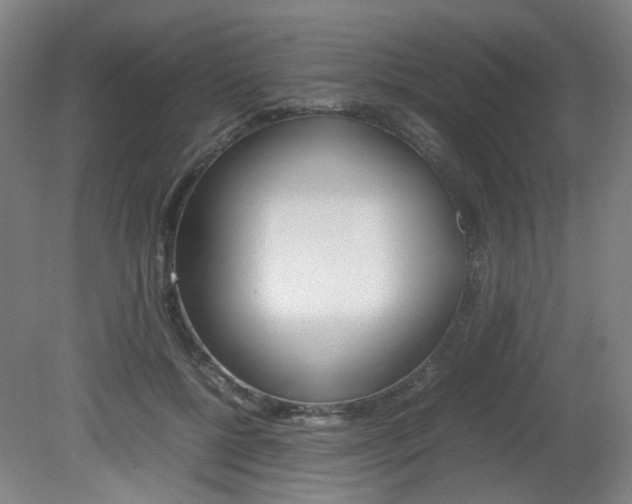 X0000082140552200701191000