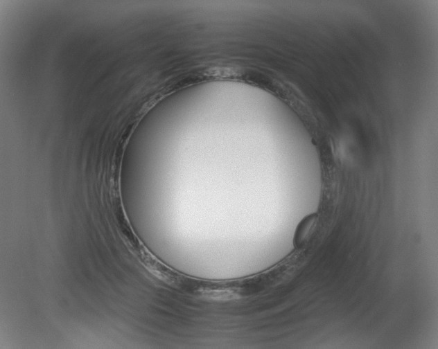 X0000082140553200701191000