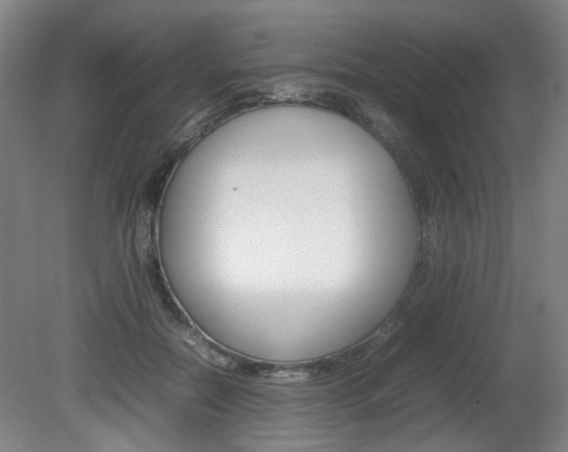 X0000082140554200701191000