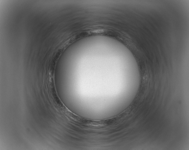X0000082140555200701191000