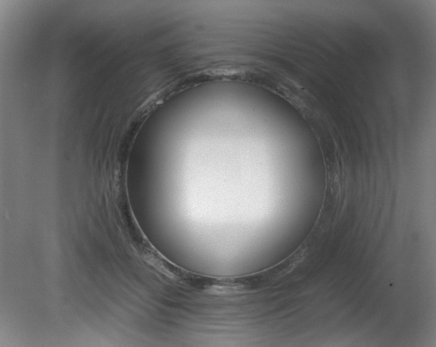 X0000082140556200701191000