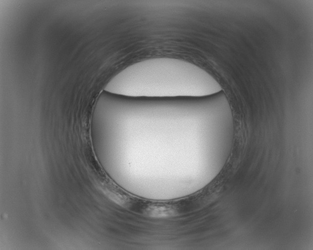 X0000082140557200701191000
