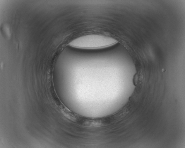 X0000082140559200701191001