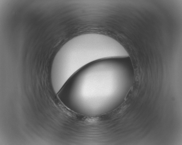 X0000082140560200701191001