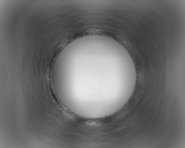 X0000082140561200701191001