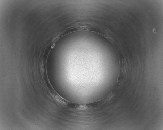 X0000082140562200701191001