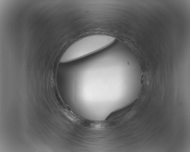 X0000082140564200701191001