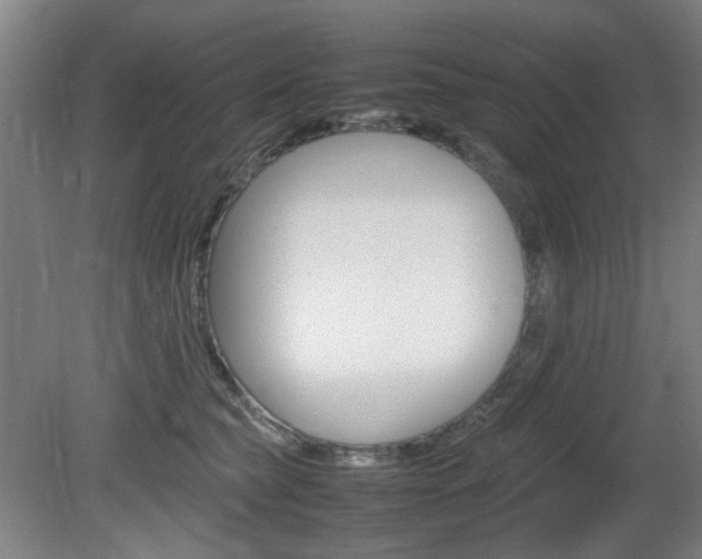X0000082140565200701191001