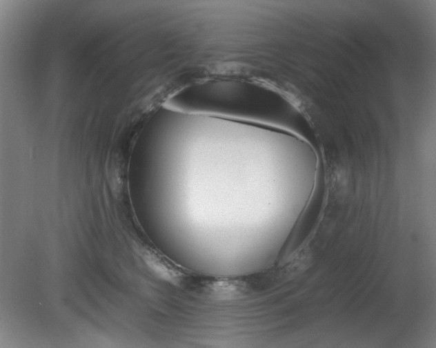X0000082140566200701191001