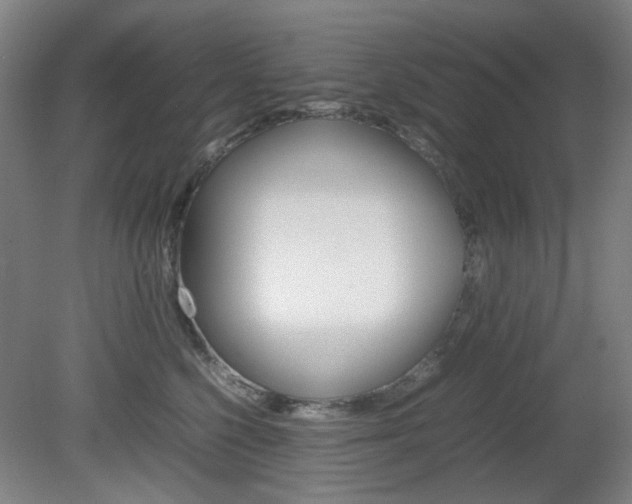 X0000082140568200701191001