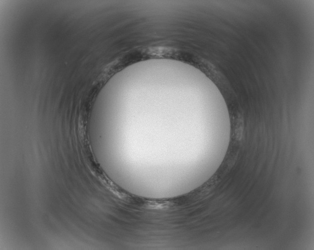 X0000082140569200701191001