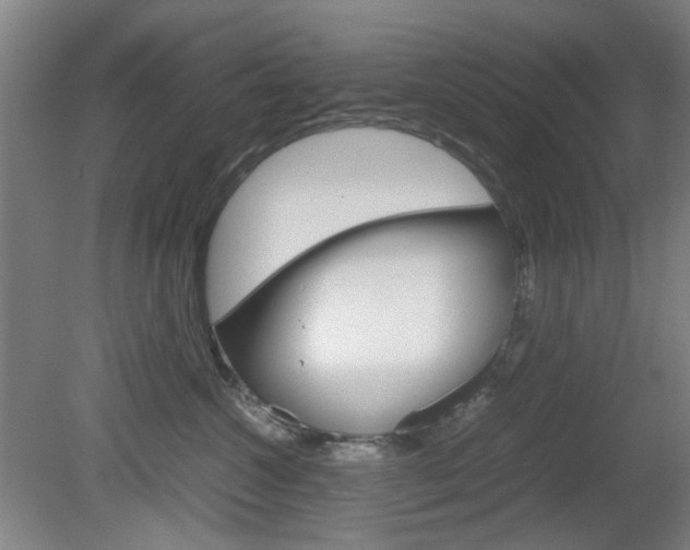 X0000082140572200701191001