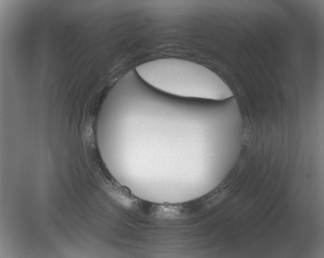 X0000082140573200701191001