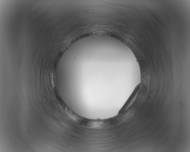 X0000082140575200701191001