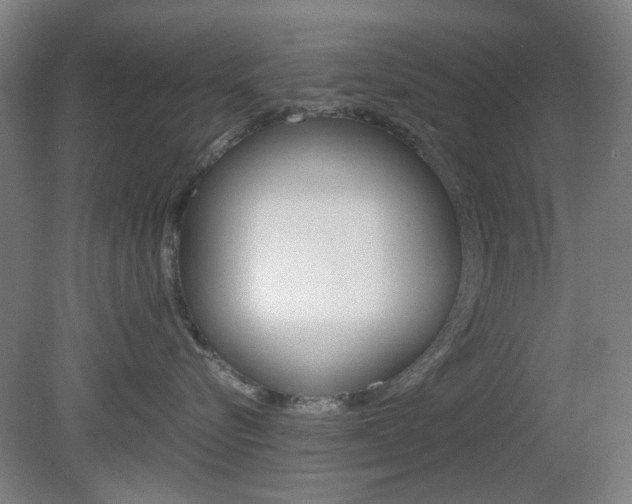 X0000082140576200701191001