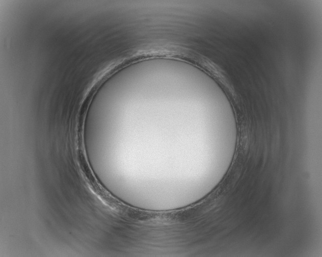 X0000082140578200701191000