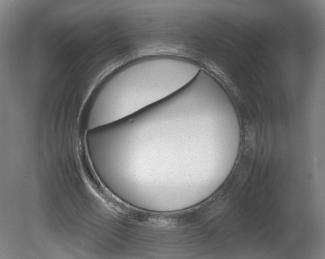 X0000082140582200701191000