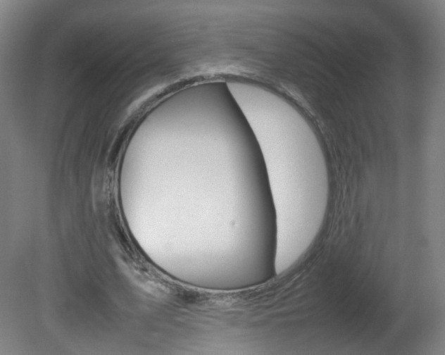 X0000082140583200701191000