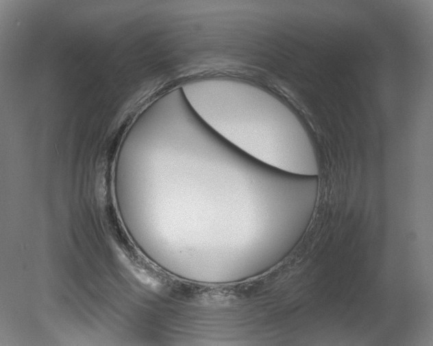 X0000082140586200701191000
