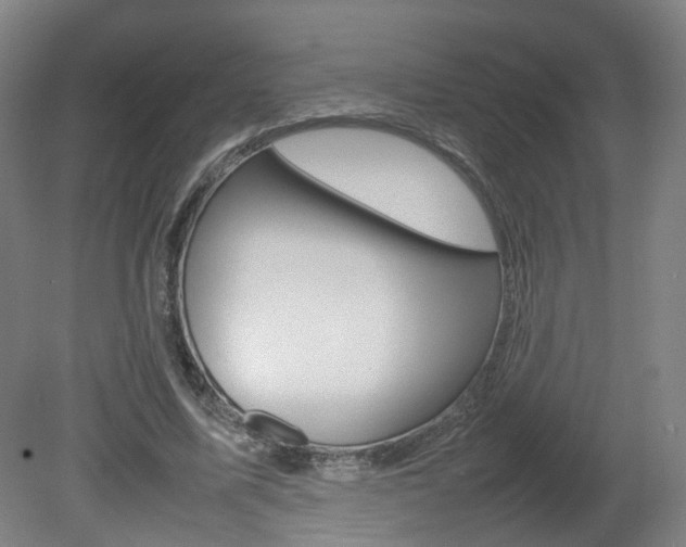 X0000082140587200701191000