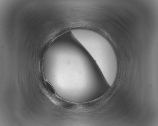 X0000082140589200701191000