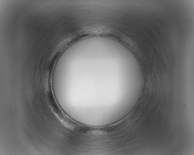 X0000082140590200701191000