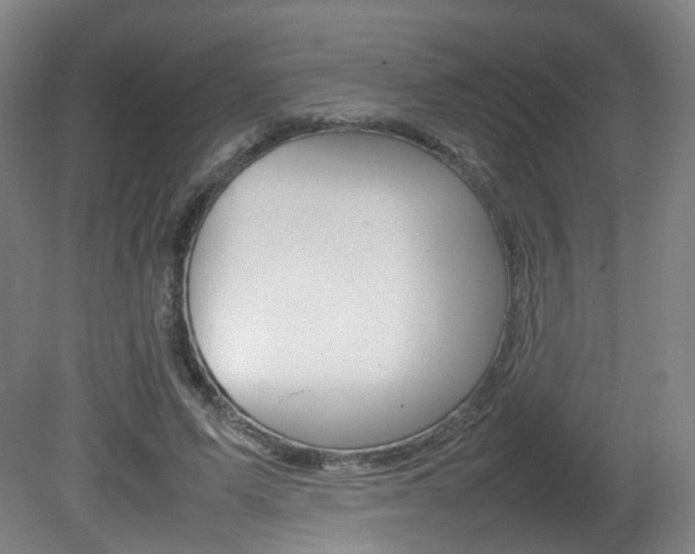 X0000082140591200701191000