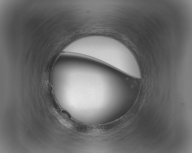 X0000082140593200701191000