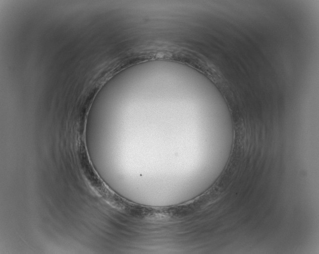 X0000082140594200701191000