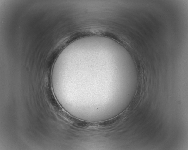 X0000082140595200701191000