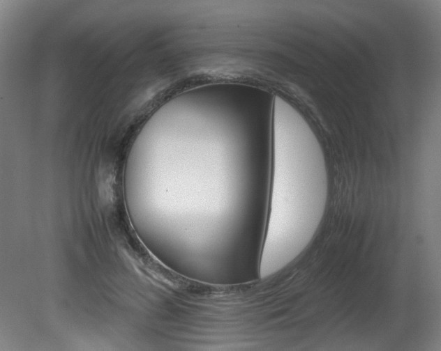 X0000082140596200701191000