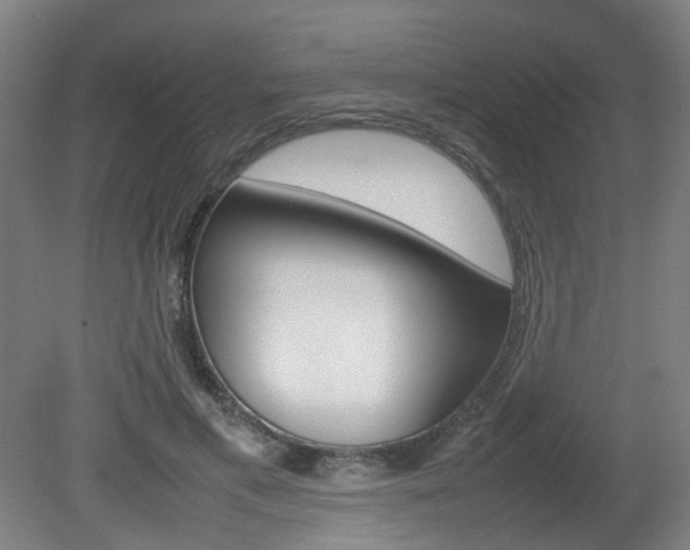 X0000082140597200701191000