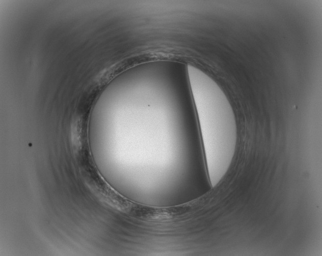 X0000082140600200701191000