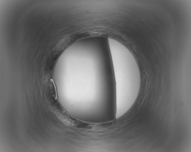 X0000082140601200701191000