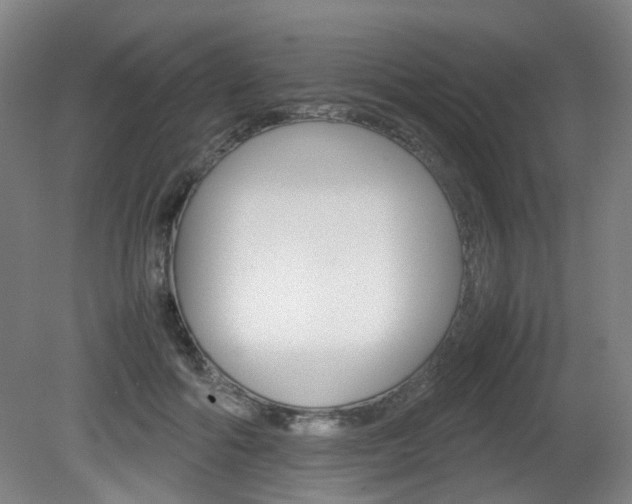 X0000082140602200701191000