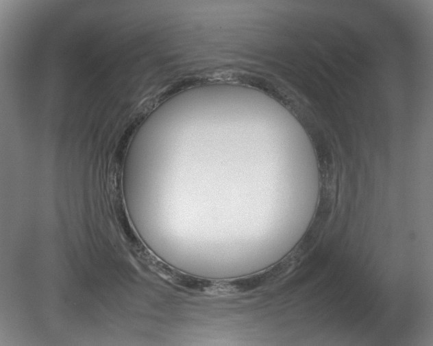 X0000082140603200701191000
