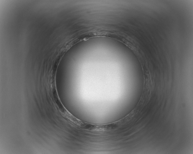 X0000082140604200701191000