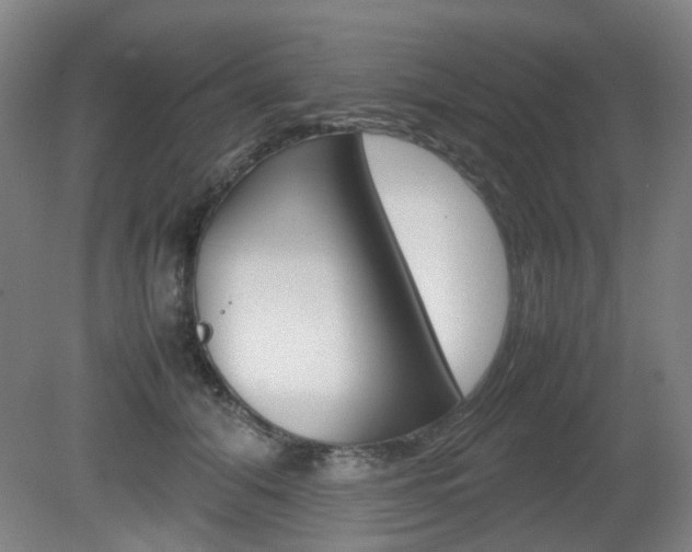 X0000082140608200701190959