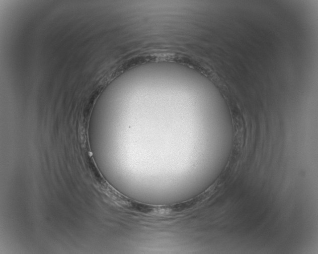 X0000082140609200701190959