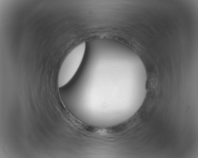 X0000082140611200701190959