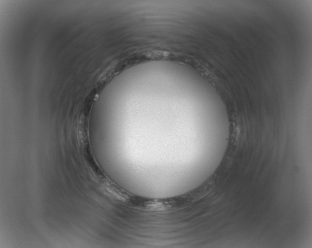 X0000082140616200701190959